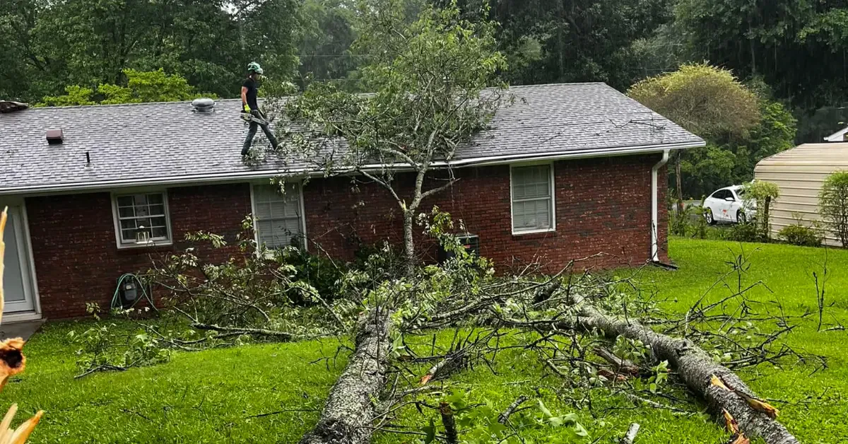24/7 emergency tree service in Cornelia, Clarkesville, Baldwin, and Demorest, GA