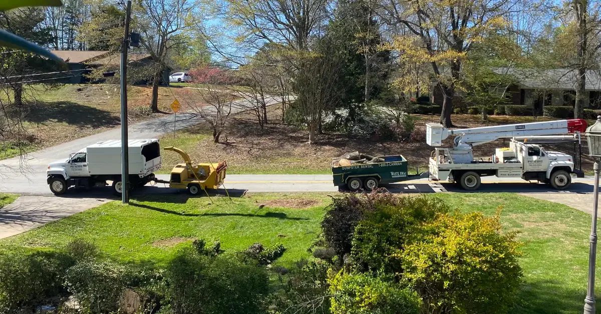 Tree Service Near Me in Cornelia, GA & Nearby Areas: What You Need to Know