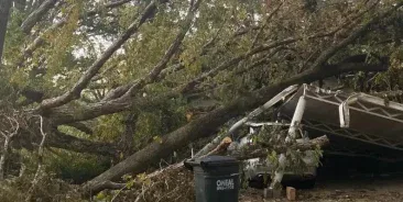 24/7 Emergency Tree Service