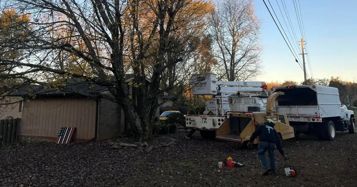 Forestry mulching services clearing land in Cornelia, GA and Habersham County