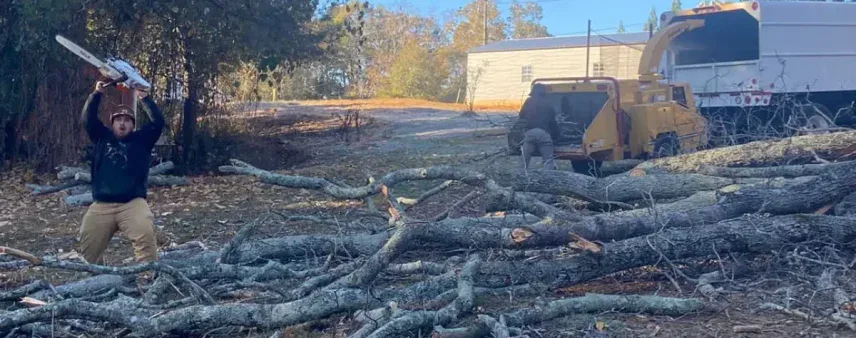 Emergency Tree Removal Cost in Northeast Georgia?