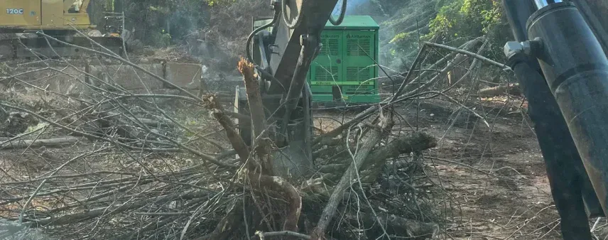 Fallen oak tree on residential lawn in Cornelia, GA after storm