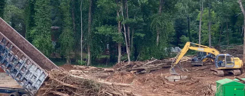Is It Illegal to Cut Down Trees on Your Property in Gainesville, GA?