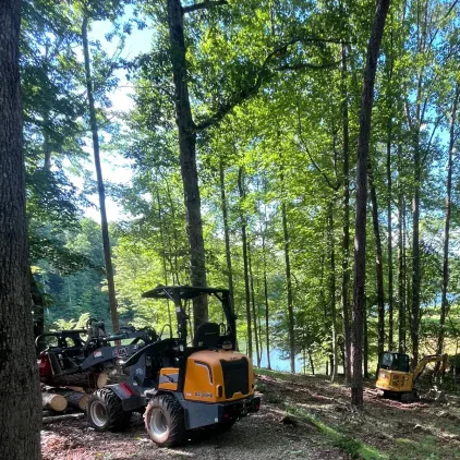 Tree removal in progress by professional crew in Cornelia, GA