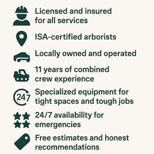 Why We Are the Right Choice for Tree Services