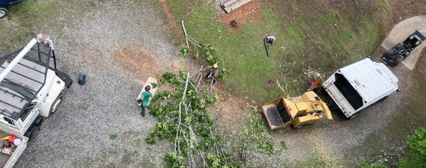 Gainesville, GA Tree Removal Costs Explained: What Affects the Price