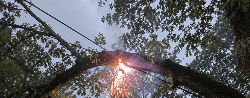Oak branches arcing electricity from Habersham County power line