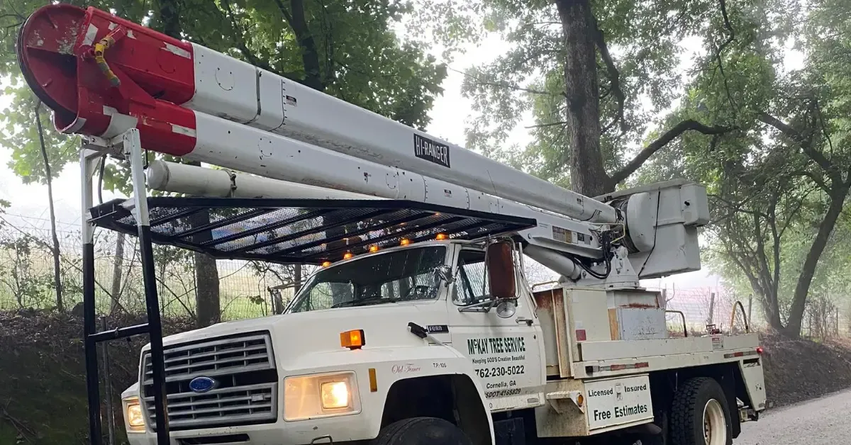 Tree Service Company in Cornelia, GA & Nearby Areas: What the Right Team Can Really Do for You