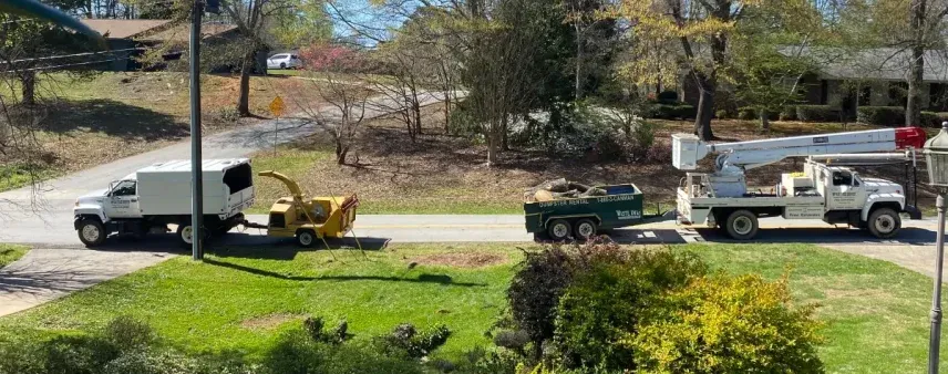 Tree Service Near Me in Cornelia, GA & Nearby Areas: What You Need to Know