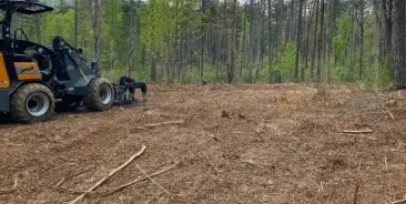 Land Clearing