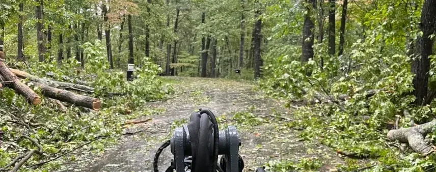 Storm Damage Clean Up in Habersham County