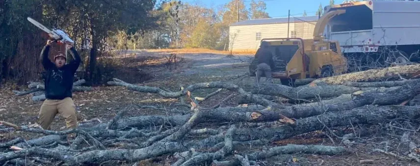 Emergency Tree Removal Cost in Northeast Georgia?