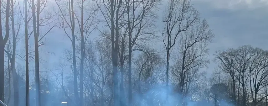 applying organic mulch and compost for sustainable winter tree care in Georgia.Sustainable Winter Tree Care Practices in Georgia