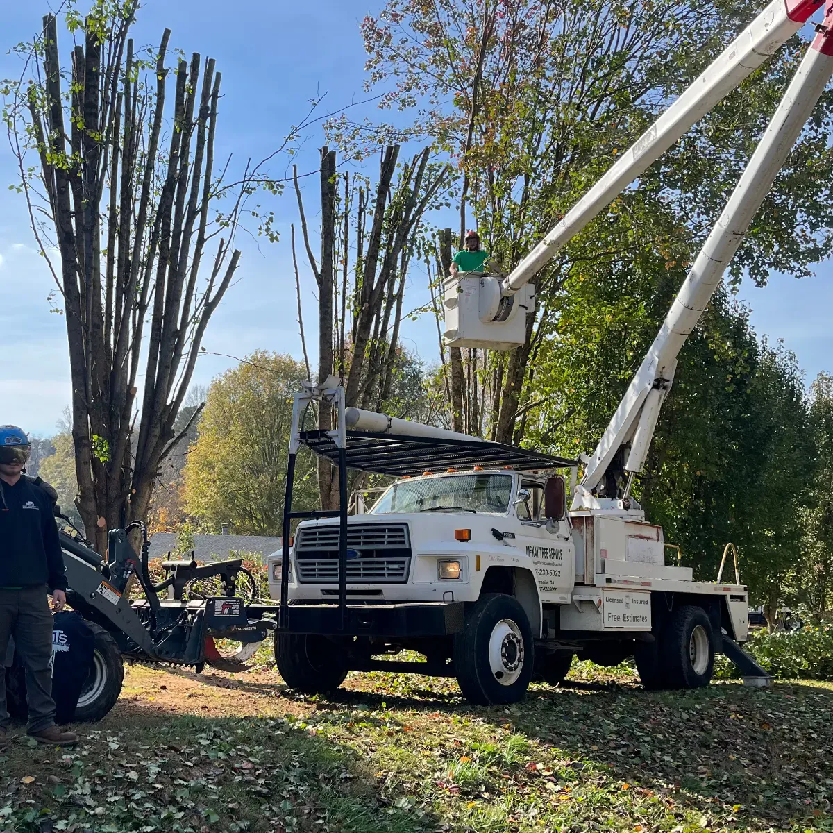 Qualified arborist using a crane to remove a large storm-damaged oak tree in Gainesville, Georgia, ensuring safety and property protection. 