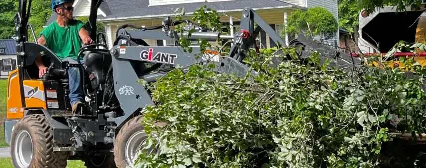 Tree service crew estimating costs in Cornelia, GA after a storm