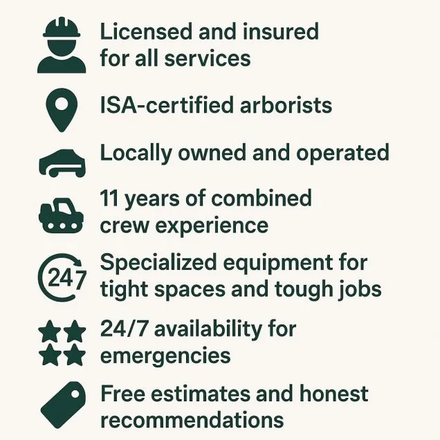 Why We Are the Right Choice for Tree Services